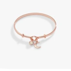 Moon Duo Clip Bangle -Alex And Ani Bracelets Shop moon duo tension clip bangle AA736422SR