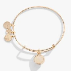 October Birthstone Charm Bangle, Rose -Alex And Ani Bracelets Shop october birthstone charm bangle bracelet rose back A21EBBIR10SG