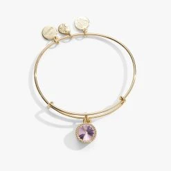 October Birthstone Charm Bangle, Rose -Alex And Ani Bracelets Shop october birthstone charm bangle bracelet rose front A21EBBIR10SG