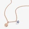 Path Of Life Duo Charm Necklace, Adjustable 1 Path Of Life Duo Charm Necklace, Adjustable -Alex And Ani Bracelets Shop path of life duo charm necklace adjustable front AA652422NKSR