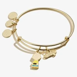 Peanuts™ Charlie Brown 'Oh, Good Grief' Duo Charm Bangle