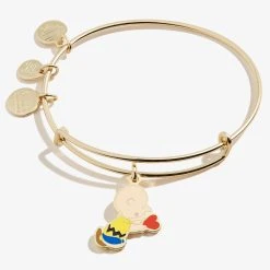 Peanuts™ Charlie Brown Valentine Charm Bangle
