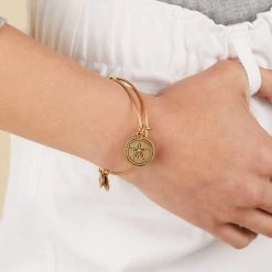 Sand Dollar Charm Bangle -Alex And Ani Bracelets Shop sand dollar charm bangle iv gold A21EBSNDRG
