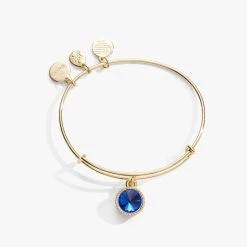 September Birthstone Charm Bangle, Sapphire 10 September Birthstone Charm Bangle, Sapphire -Alex And Ani Bracelets Shop september birthstone charm bangle bracelet sapphire front A21EBBIR9SG
