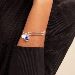 September Birthstone Charm Bangle, Sapphire 9 September Birthstone Charm Bangle, Sapphire -Alex And Ani Bracelets Shop september birthstone charm bangle bracelet sapphire model A21EBBIR9SS