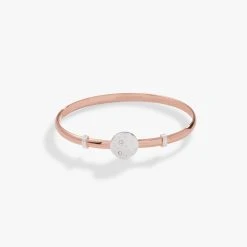 Stars Clip Bangle Bracelet 11 Stars Clip Bangle Bracelet -Alex And Ani Bracelets Shop stars clip bangle bracelet AA736322SRTT