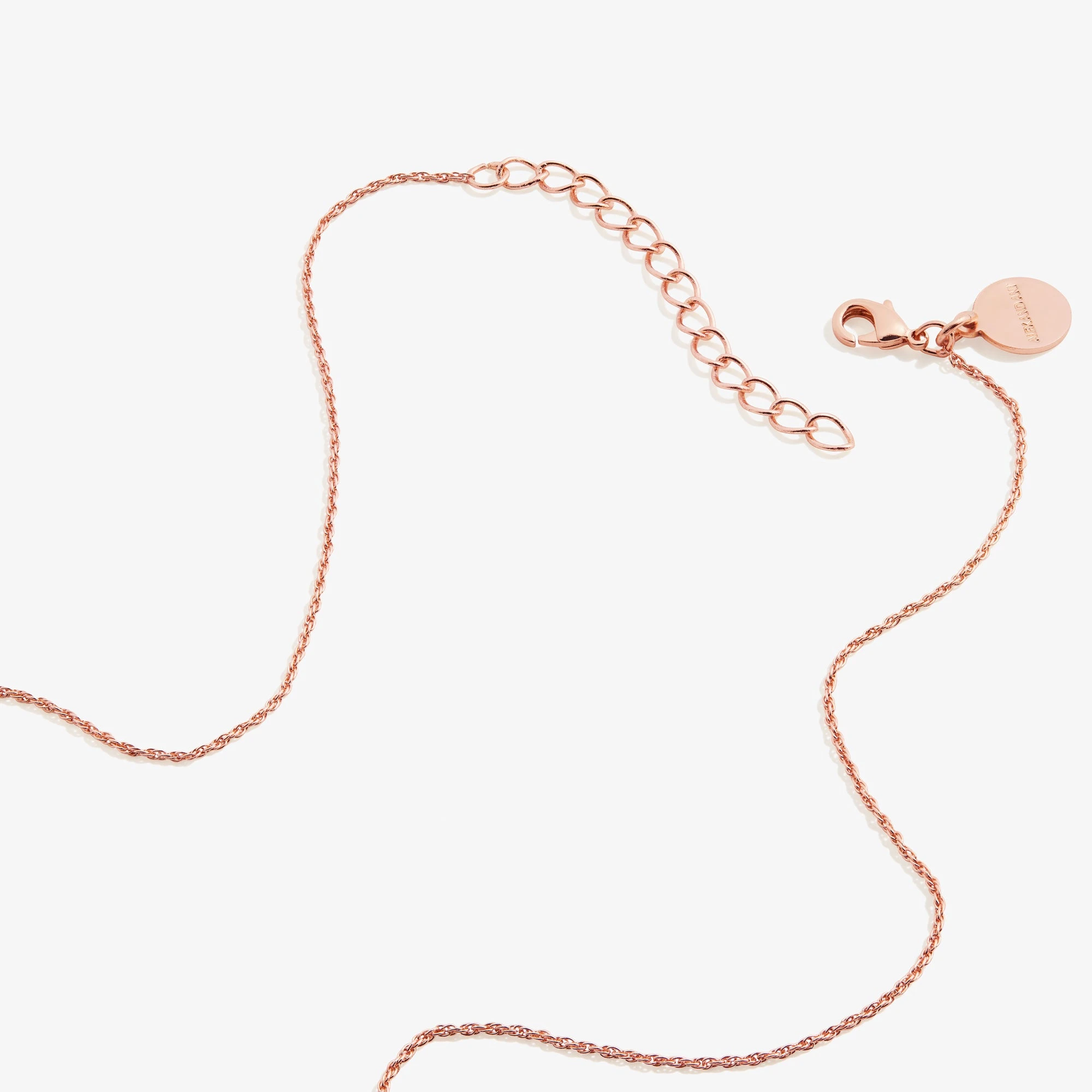 Strength Multi-Charm Necklace 5 Strength Multi-Charm Necklace - Image 3