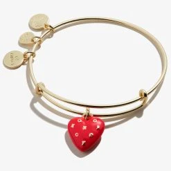 XOXO Heart Charm Bangle Bracelet -Alex And Ani Bracelets Shop xoxo heart charm bangle bracelet front A22EBXOHRTSG